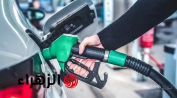 تطور جديد.. الحكومة تعلن رسميًا قائمة أسعار البنزين الجديدة بعد قرار الزيادة 1